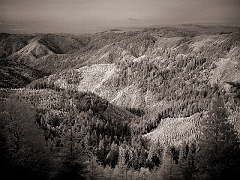 600 Siskiyou National Forest in Infrared, road to Grant's Pass, OR