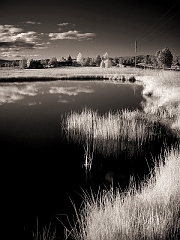 607 Pond in Infrared, north of Bend, OR