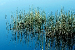 610 Pond Reeds, north of Bend, OR