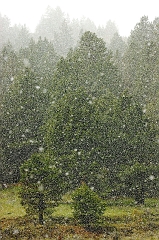 616 Spring Snow, along US-395 north of Seneca, OR