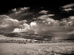 649 Pasture and Mountains III in Infrared, near Lolo, MT