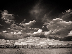 650 Pasture and Mountains IV in Infrared, near Lolo, MT